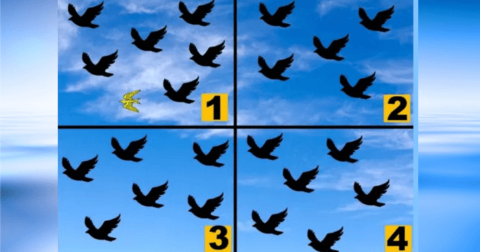 can-we-guess-your-age-by-the-way-you-memorize-details