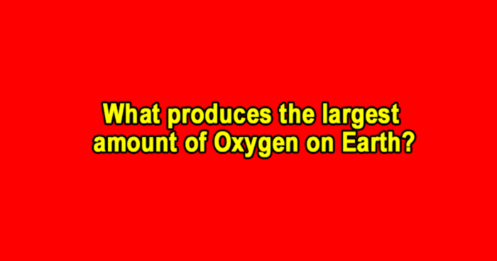 do-you-know-all-these-insane-facts