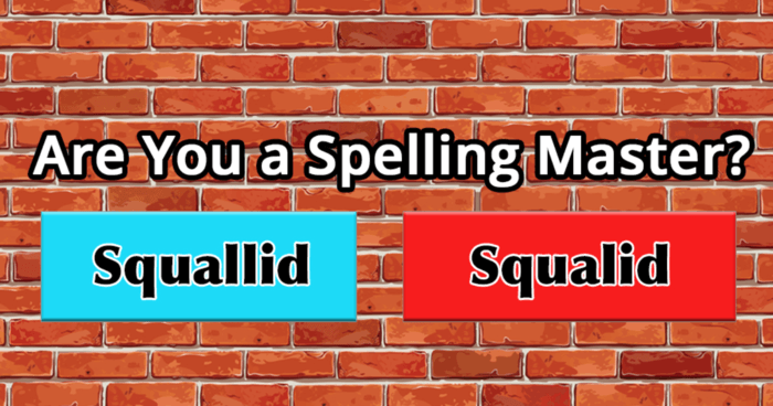 only-a-true-spelling-master-can-spell-these-15-words