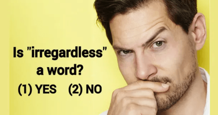 only-americans-with-a-phd-passed-this-english-grammar-test