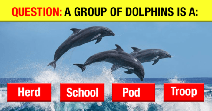 only-people-with-an-iq-score-of-141-or-higher-can-pass-this-animal-vocabulary-quiz