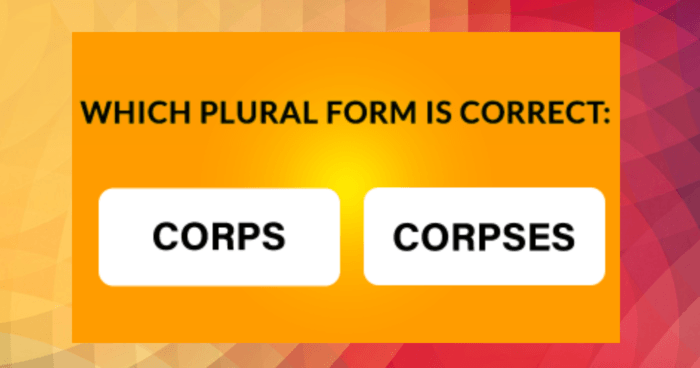 even-people-with-a-phd-find-this-test-difficult-can-you-spell-the-22-hardest-plural-words