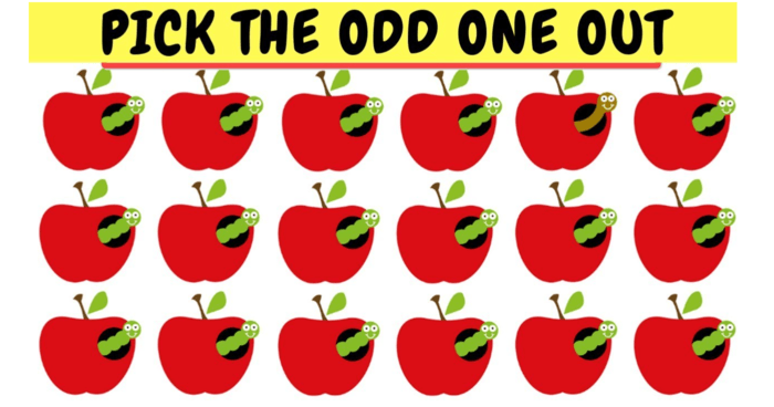 Can You Pick The Odd One Out In Under 5 Seconds?