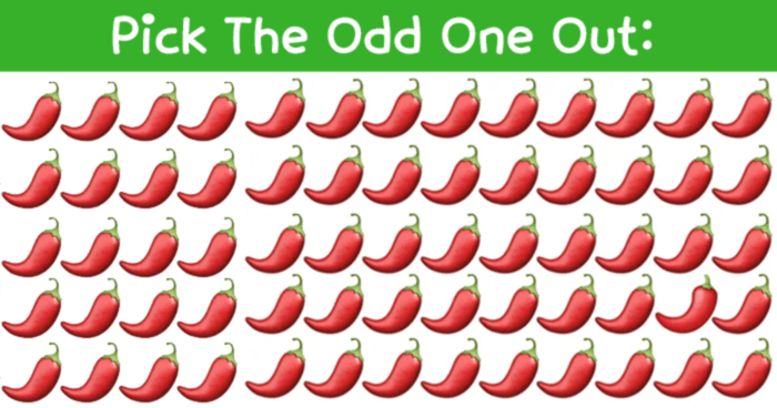 can-you-see-the-odd-one-out-in-all-pictures-of-this-visual-challenge-quiz