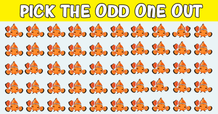 Only 30 People Have Passed This Difficult Odd One Out Quiz So Far! Will You?