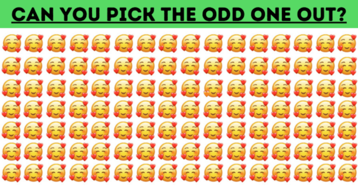 are-you-up-to-the-challenge-almost-no-one-can-ace-this-odd-one-out-test-quiz