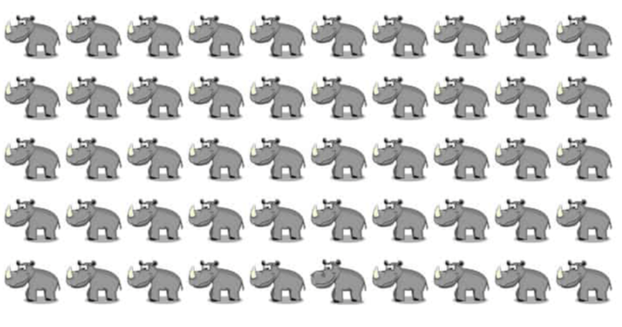 find-the-hippo-hiding-in-the-rhinos-only-people-with-sharp-vision-can-pass-this-test-quiz