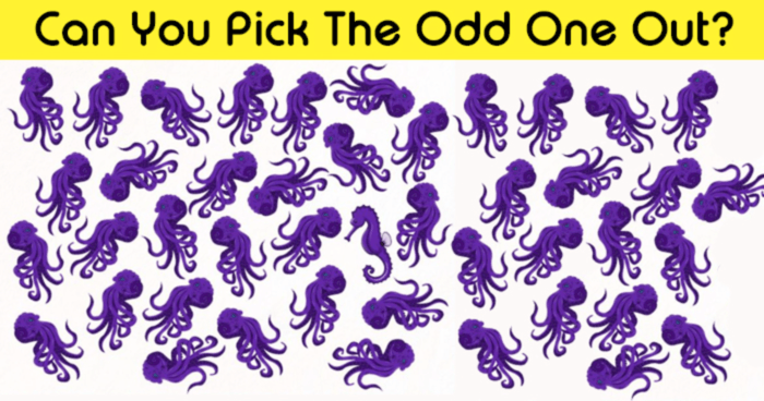 can-you-identify-the-odd-one-out-quiz