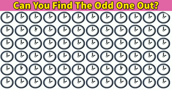 only-genius-can-spot-the-odd-one-out-in-less-than-30-seconds