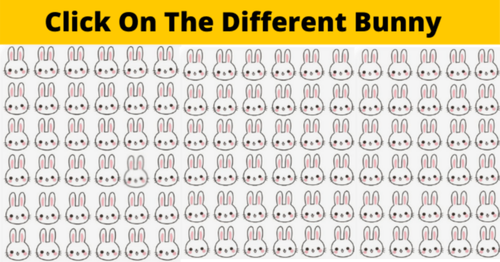 we-bet-you-cant-find-the-different-bunny-in-less-than-10-seconds