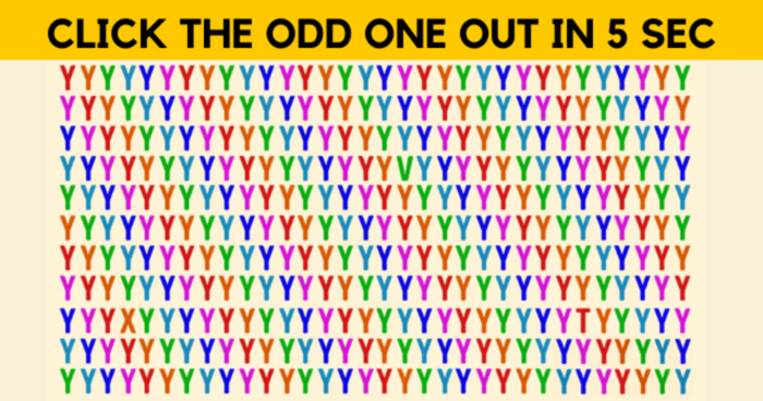 only-a-genius-can-see-the-odd-one-out-in-these-5-pictures-give-it-a-try-quiz