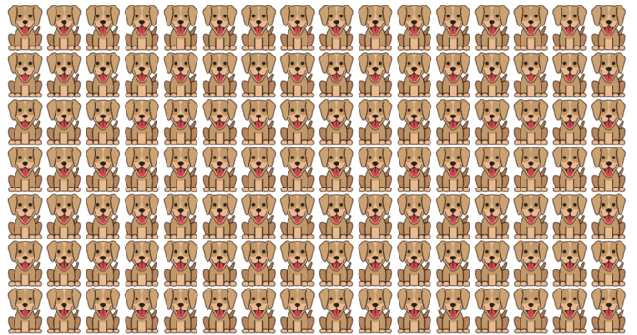only-5-can-find-the-different-dog-take-the-test-quiz
