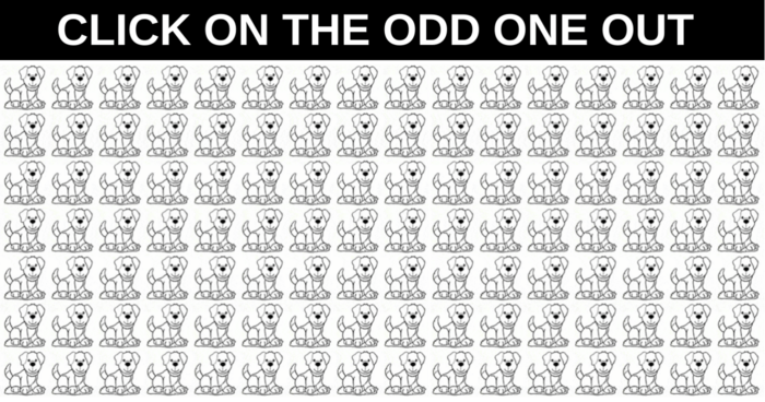 only-1-in-25-sharp-eyed-people-can-spot-the-odd-puppy-out-quiz