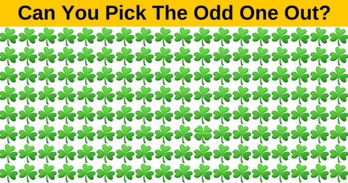 you-are-a-genius-if-you-can-find-the-four-leaf-clover-in-under-3-seconds-quiz