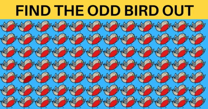 tricky-challenge-are-you-clever-enough-to-spot-the-3-different-birds-quiz