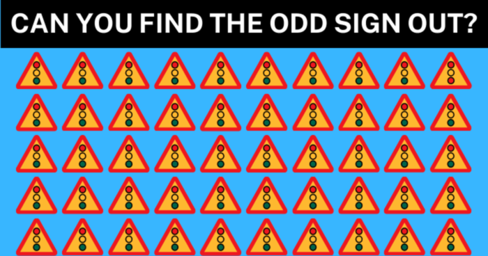 only-experienced-drivers-will-spot-the-odd-one-out-within-seconds-quiz