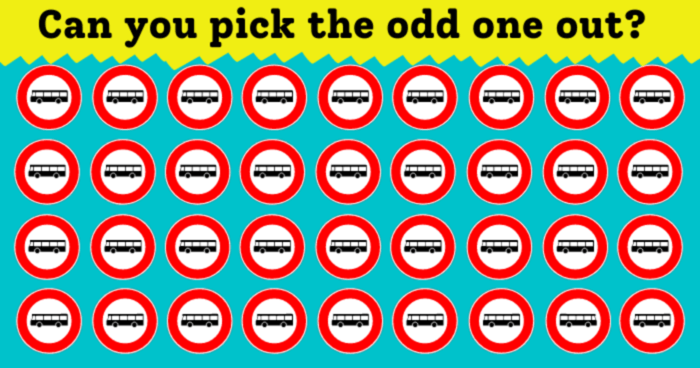 youre-a-good-driver-if-you-can-find-the-odd-one-out-in-3-seconds-quiz