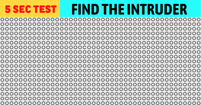 Eye Test: Find The Intruder In 5 Seconds!