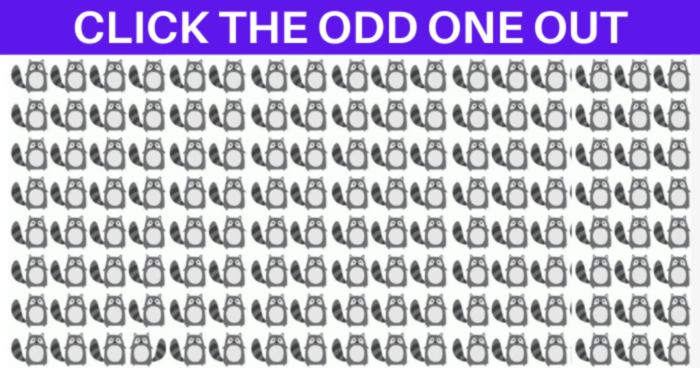 quiz-most-people-surprisingly-cant-pick-the-odd-one-out-quiz