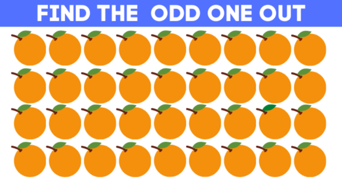only-1-in-30-sharp-eyed-people-can-spot-the-difference-quiz