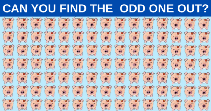 can-you-spot-the-odd-one-out-immediately-quiz