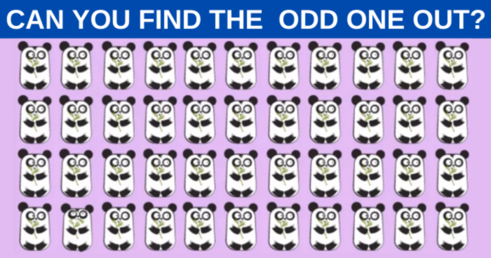only-the-sharpest-eyes-can-spot-the-odd-one-out-within-5-seconds-quiz