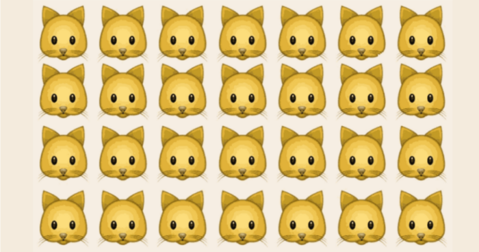 you-have-a-very-sharp-brain-if-you-can-find-the-odd-one-out-quiz