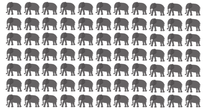 find-3-odd-elephants-hiding-in-the-herd-only-people-with-sharp-eyes-can-ace-this-quiz