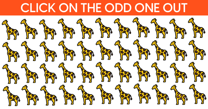 only-watchful-people-will-find-the-odd-giraffe-hiding-in-the-picture-quiz