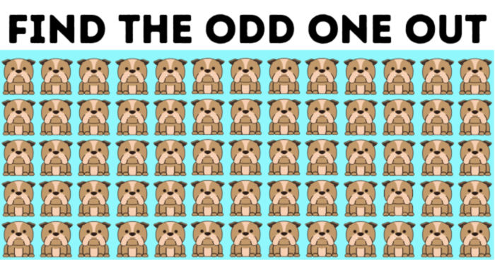 test-find-the-odd-one-out-in-less-than-7-seconds-quiz