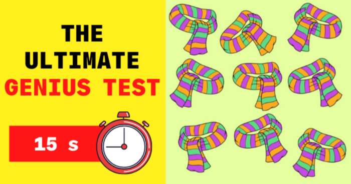 are-all-the-scarfs-the-same-look-closely-and-click-the-odd-one-out-quiz