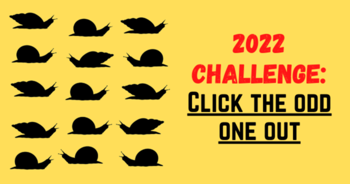 2022-challenge-find-the-odd-one-out-in-3-levels-quiz
