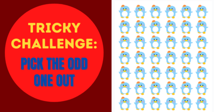 only-5-of-people-can-find-the-odd-one-out-in-15-pictures-quiz