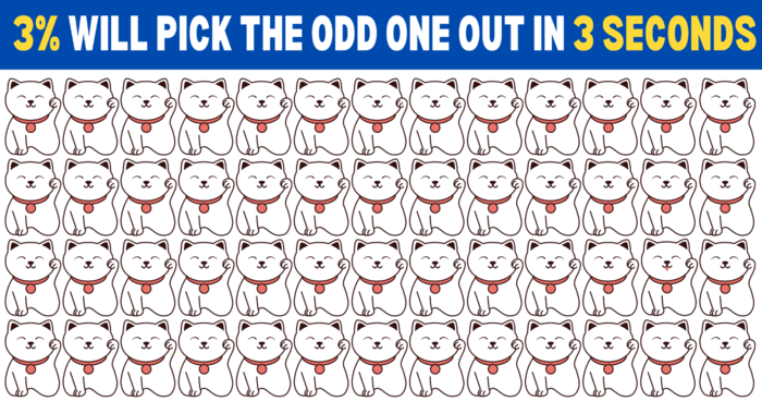 can-you-find-the-odd-cat-in-this-mind-boggling-test-quiz