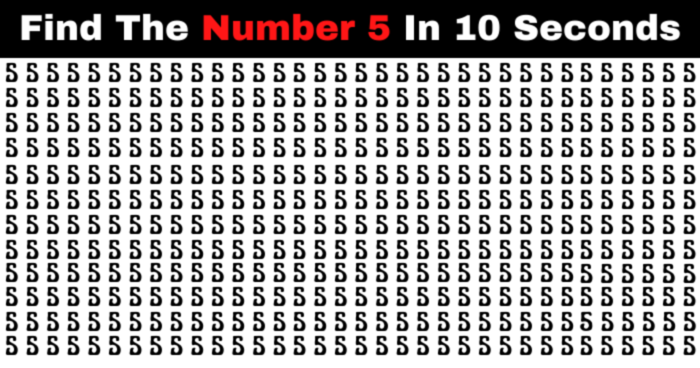 can-you-spot-the-number-5-in-all-5-levels-quiz