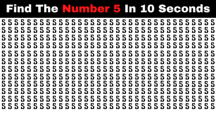 Can You Spot The Number 5 In All 5 Levels?