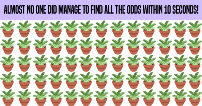almost-no-one-did-manage-to-find-all-the-odds-within-10-seconds-quiz