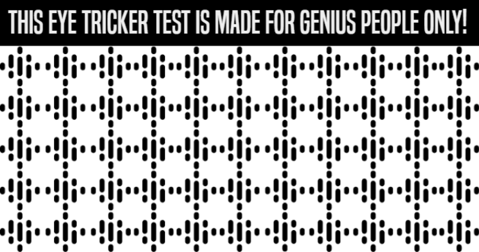 this-eye-tricker-test-is-made-for-genius-people-only-quiz