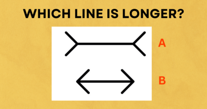 Can You Ace This IQ Test?