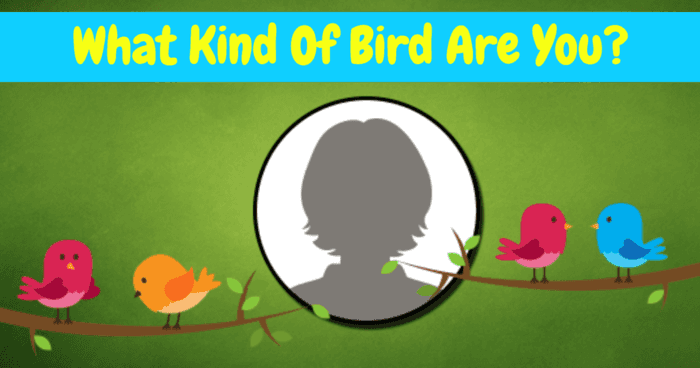 What Kind Of Bird Are You?