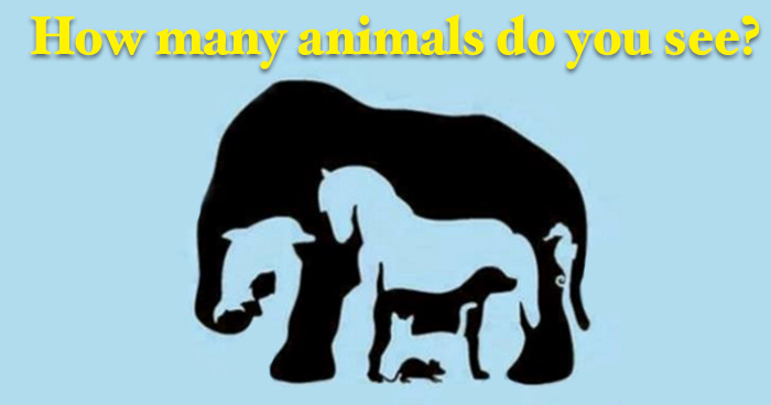 how-many-animals-do-you-see2