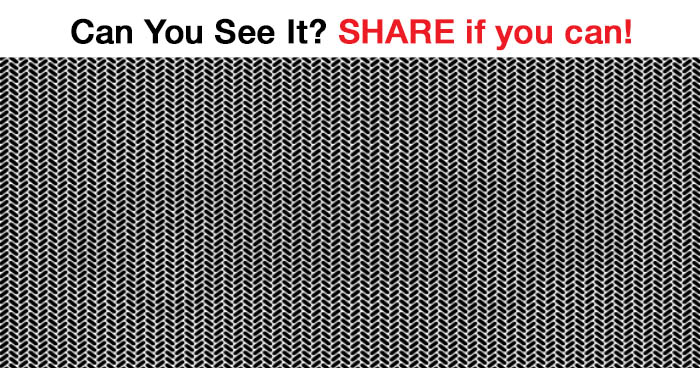 can-you-see-it-share-if-you-can-2