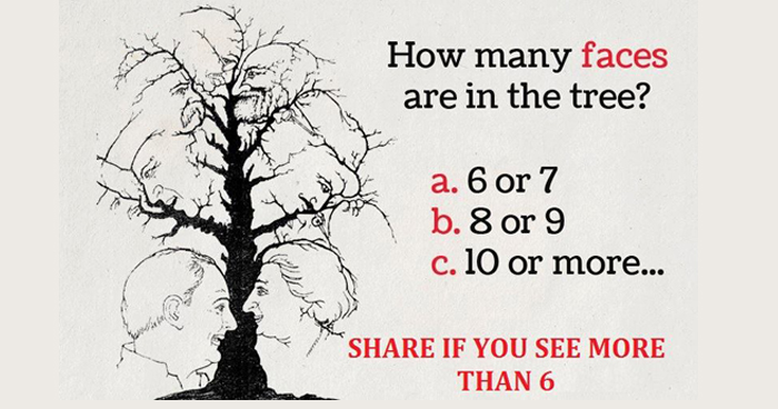 how-many-faces-are-in-the-tree